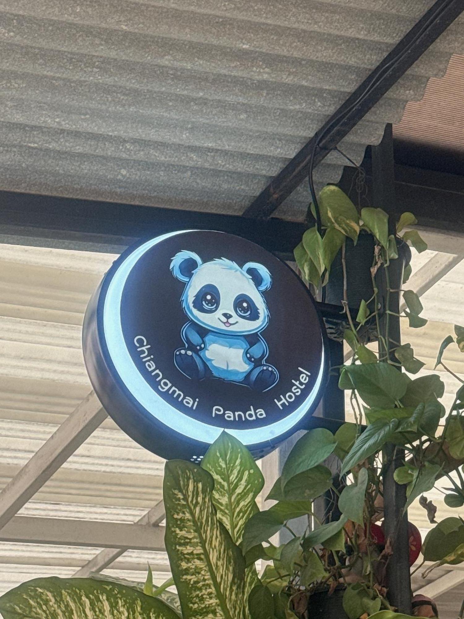 Chiang Mai Panda Hostel Exterior foto